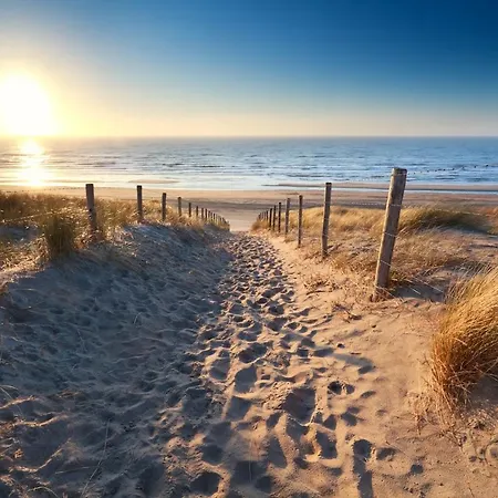 Strandslag Juliana 181